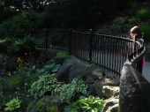 DSC08215.JPG